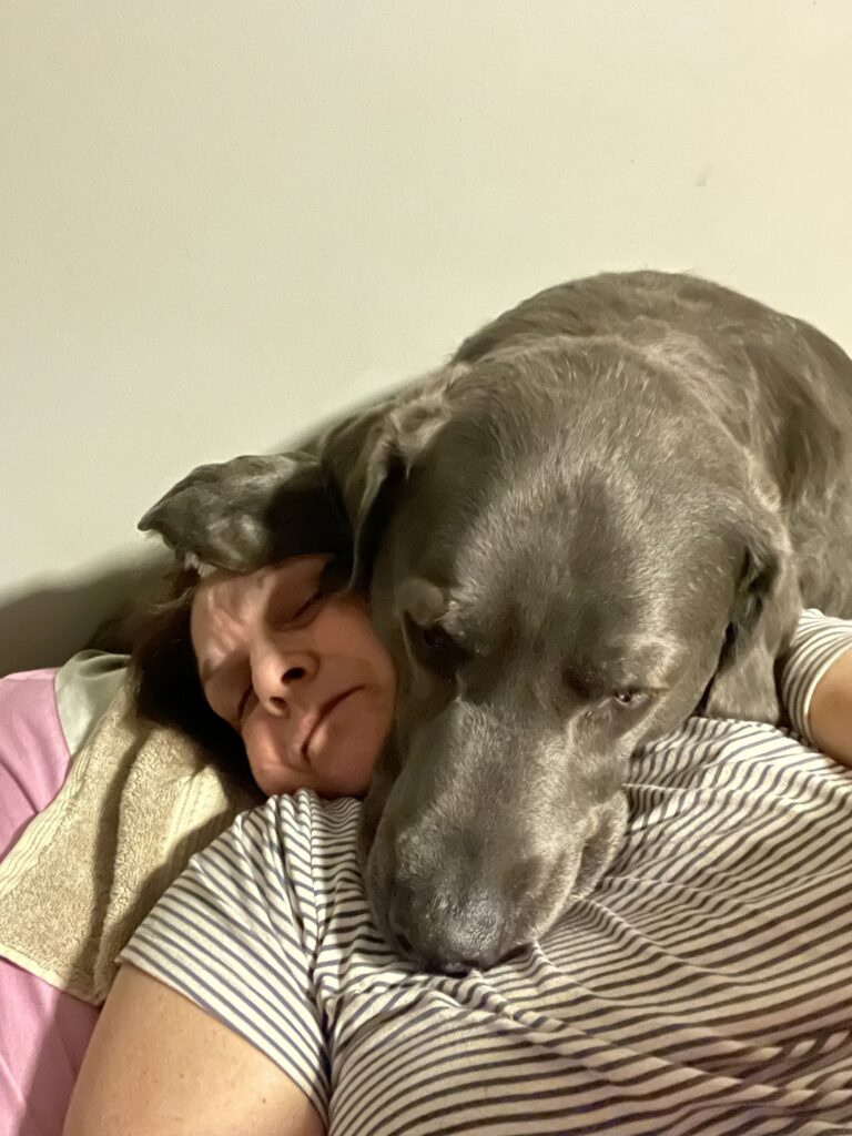 Hunter, a charcoal Labrador, seeking comfort during a storm, the inspiration behind our dog anxiety quiz